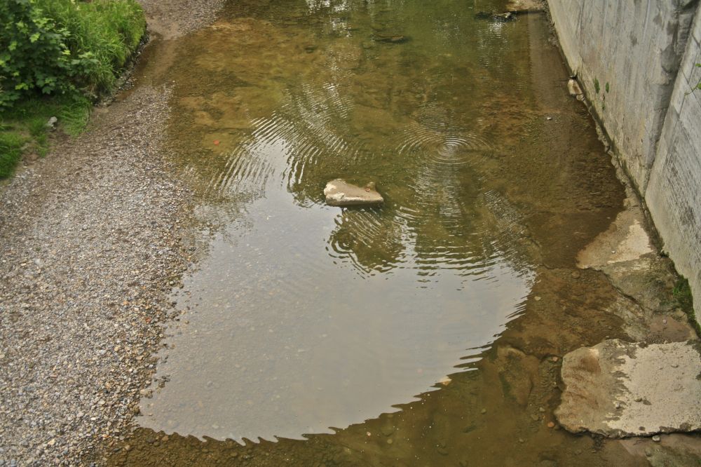 Fotoclub Rj Monatsbild 3 Jul2012