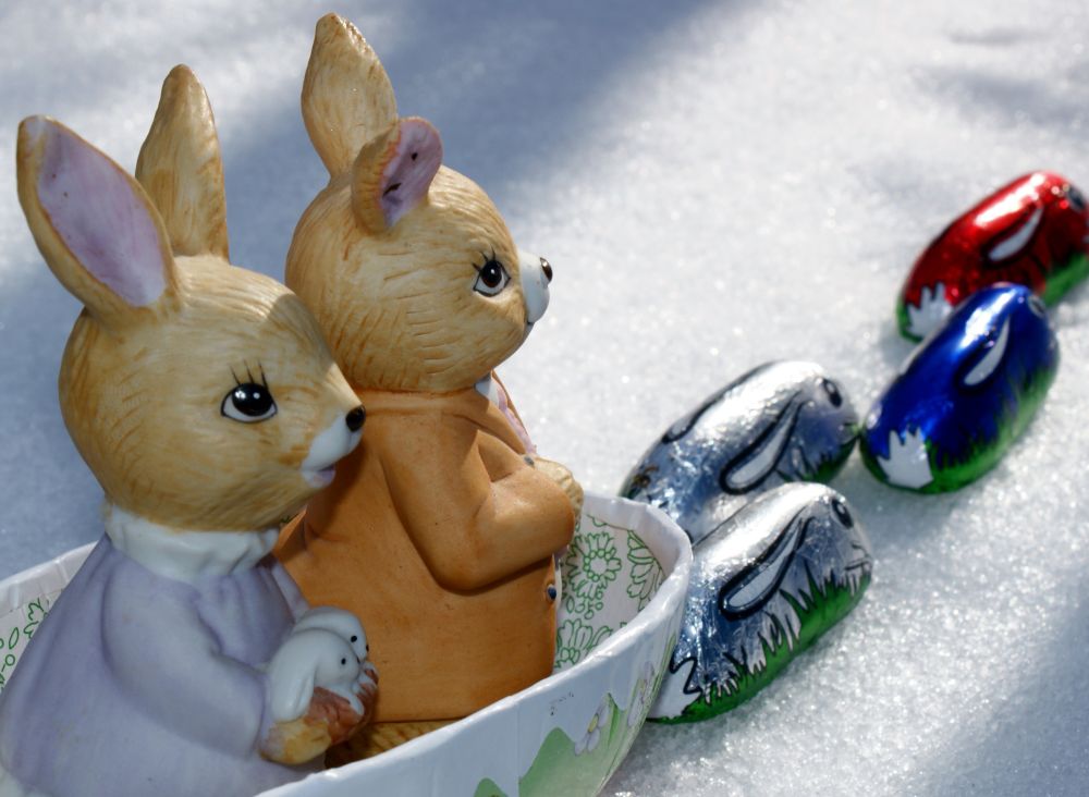 Fotoclub Rj Monatsbild 2 Apr2013