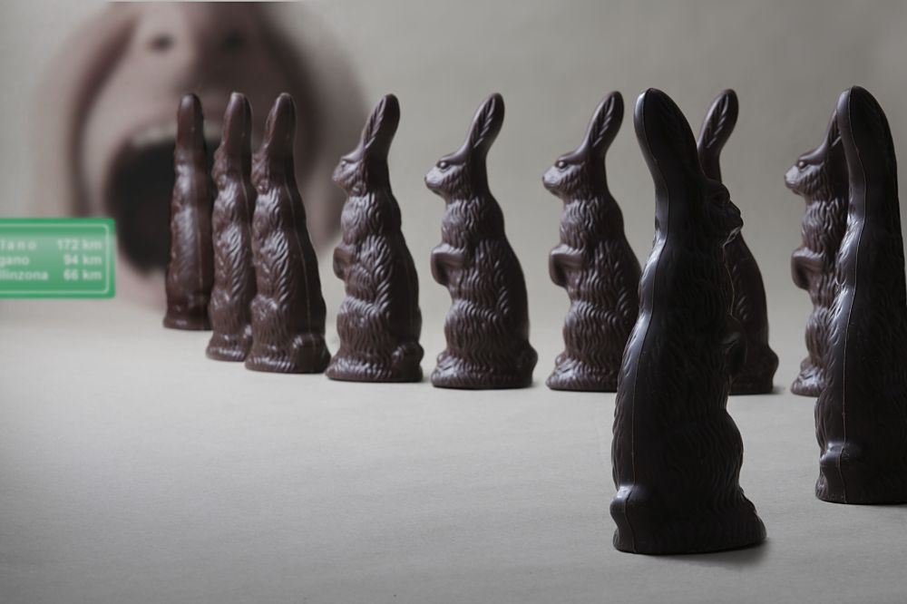 Fotoclub Rj Monatsbild 3 Apr2013