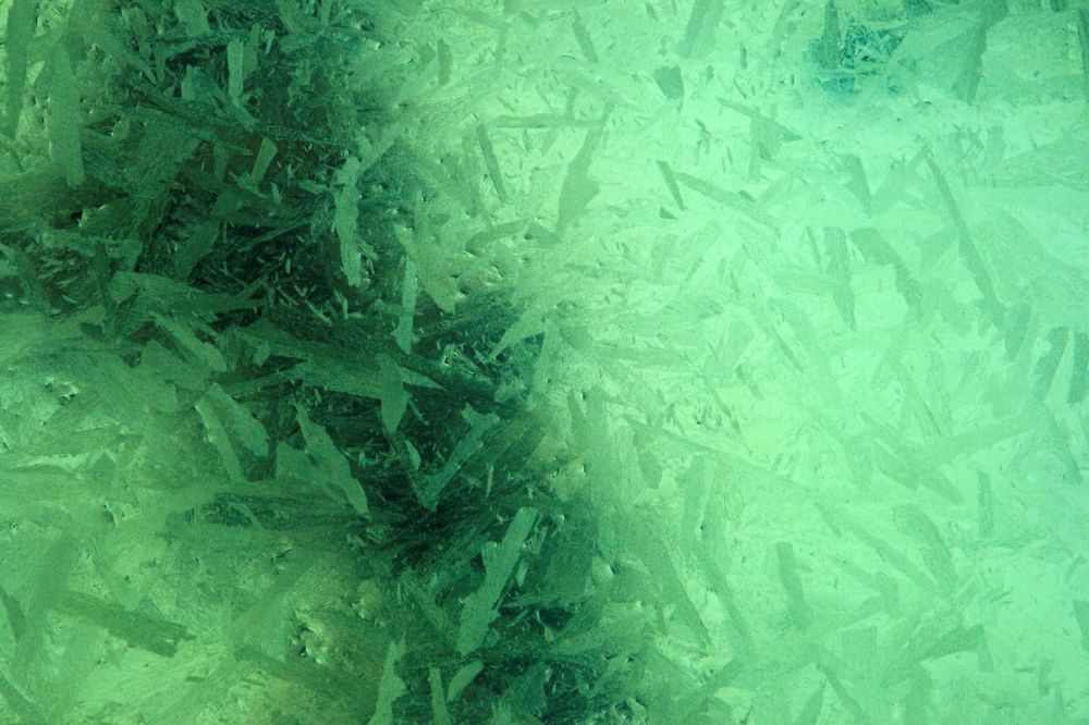 Fotoclub Rj Monatsbild 3a Mar2013