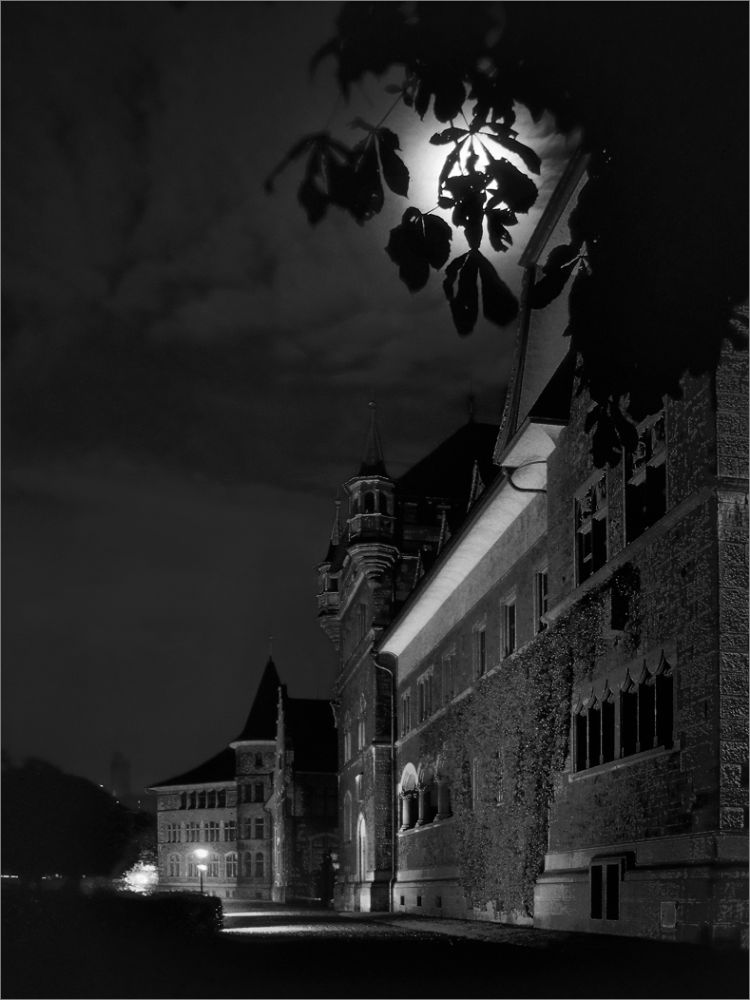 Fotoclub Rj Monatsbild 2 Mar2014