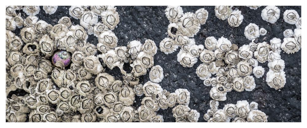 Fotoclub Rj Monatsbild 1 Mar2015