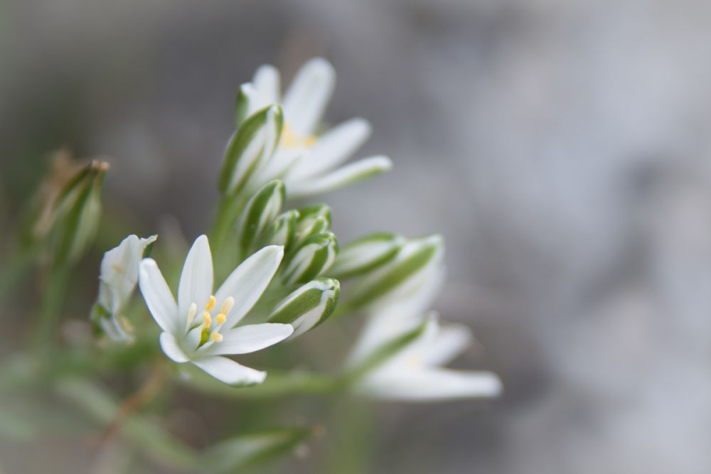 Fotoclub Rj Monatsbild 2 Mar2015