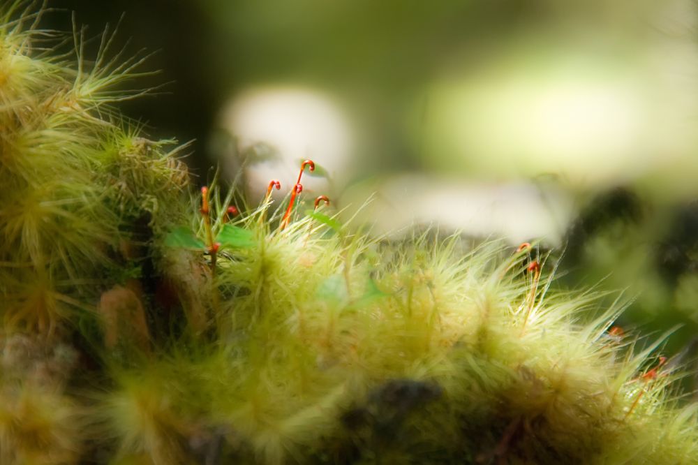 Fotoclub Rj Monatsbild 3 Mar2015