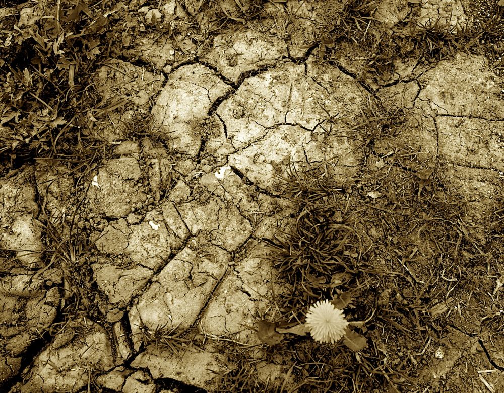 Fotoclub Rj Monatsbild 3b Jun2015