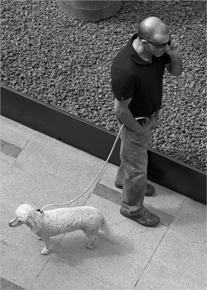 Fotoclub Rj Monatsbild 1 Sep2016 Gf