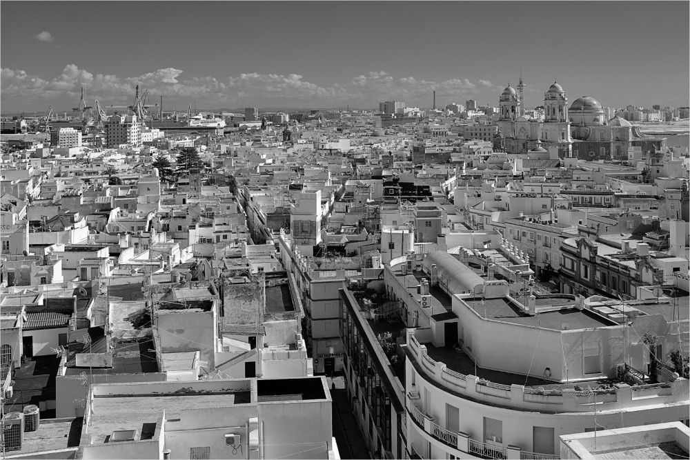 Fotoclub Rj Monatsbild 3 Jun2017 Gf