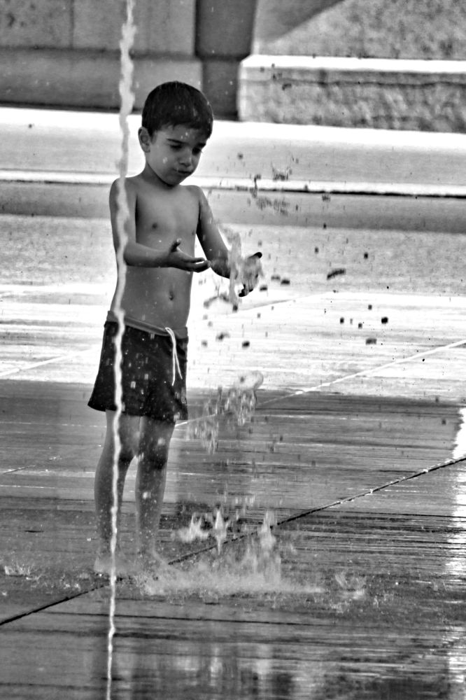 Fotoclub Rj Monatsbild 3 Sep2017 Gk