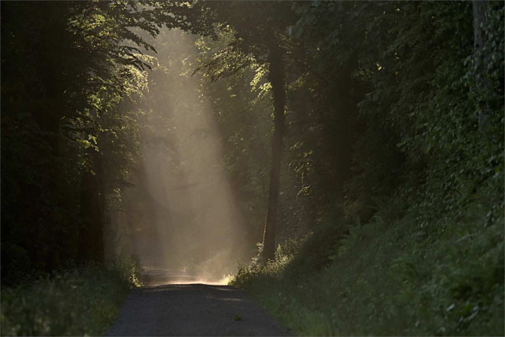 1 ImG WALD FGA0398 1 GiulioF