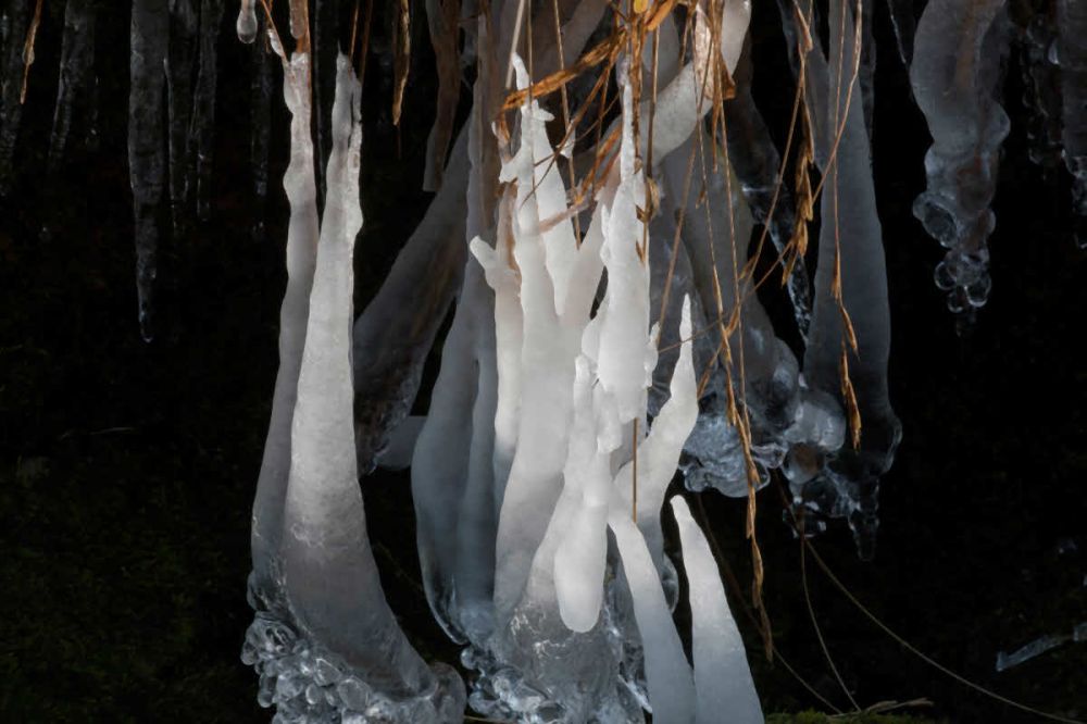 1 Bruno Von Ballmoos