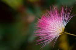 Ruanda 2016 DSC 4099 HiRes