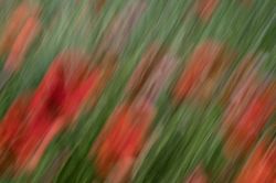 5 DSC7629 Fcrj FotoStafette HDTV