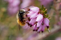 4 4 Sweet Erika 5892