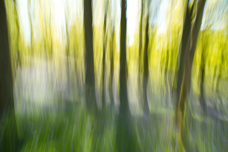 2 In Meinen Gedanken3 2 Erna