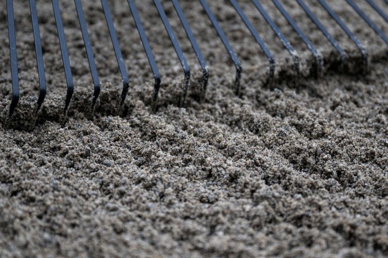 6  DSC8122 Si Li 74 Portrait Lachen HDTV