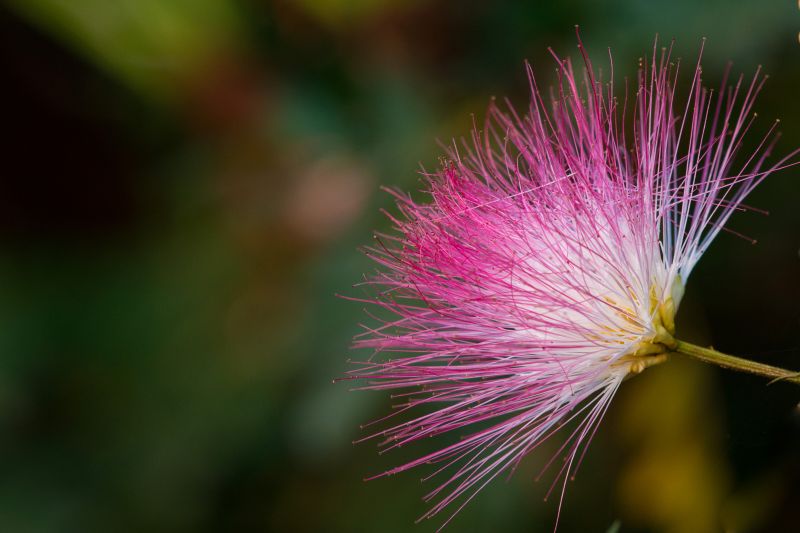 Ruanda 2016 DSC 4099 HiRes